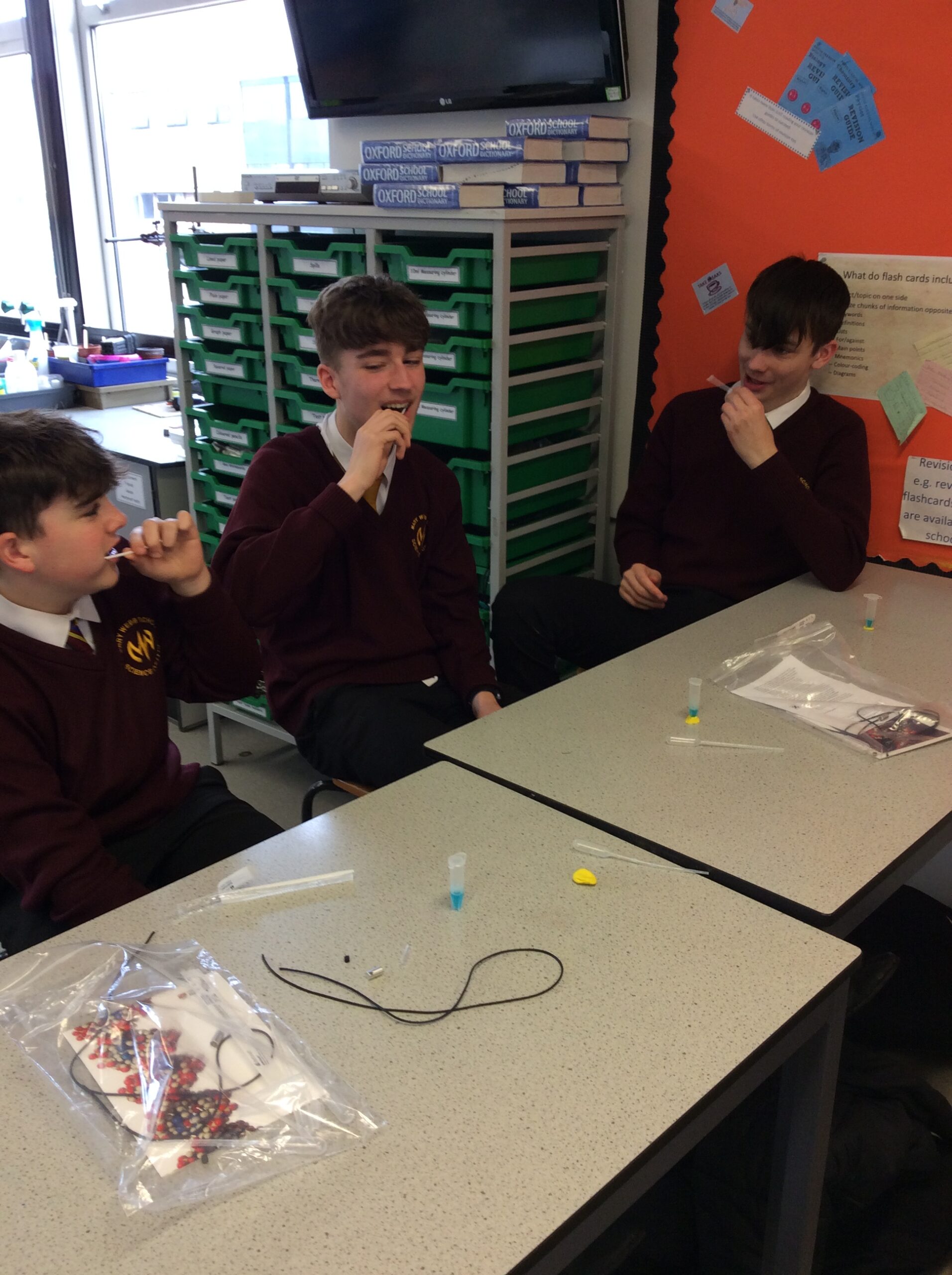 Y10 DNA